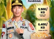 Satgas Ketahanan Pangan Polda Sulsel Proaktif Sosialisasi Pembelian Jagung