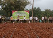Dihadiri Forkopimda, Polres Toraja Utara Gelar Penanaman Jagung Serentak Kuartal III