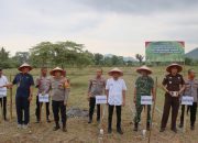Sinergitas Kapolres dan Forkopimda Palopo, Tanam Jagung Serentak Kuartal III, Dukung Ketahanan Pangan Nasional