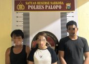 Sat Res Narkoba Polres Palopo Ungkap Kasus Penyalahgunaan Narkotika