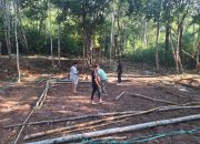 Polres Toraja Utara Bubarkan 4 Dugaan Praktek Judi Sabung Ayam Dalam Sehari