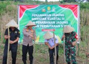 Dukung Instruksi Presiden RI Tentang Pengelolaan Jagung Dalam Negeri, Polres Maros Dorong Petani Jual Hasil Jagung ke Bulog, Polri Siap Kawal