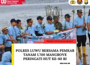 Polres Luwu Bersama Pemkab Tanam 1.700 Mangrove Peringati HUT ke-80 RI