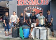 Unit Reskrim Polres Jeneponto Gerebek Lokasi Judi Sabung Ayam di Tamalatea
