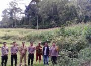 Tingkatkan Produktivitas, Kabag SDM Polres Toraja Utara Tinjau Kebun Jagung di Lembang Misa’ Ba’bana