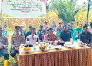 Dukung Swasembada Pangan , Polres Luwu Timur Panen Raya Jagung Serentak Kuartal III Tahun 2025