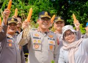 Kapolres Barru Pimpin Pelaksanaan Panen  Jagung Serentak Kuartal III