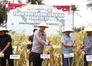 Kapolres Pinrang Hadiri Panen Raya Jagung Serentak Kuartal III di Lanrisang