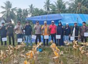 Dihadiri Wabup, Kapolsek Pasimasunggu Pimpin Anggota Panen Raya Jagung Bersama Bumdes