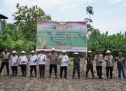 Kapolda Sulbar Meriahkan Kegiatan Tanam Jagung Serentak dan Peresmian Gudang Jagung Polri, Wujud Dukungan Ketahanan Pangan