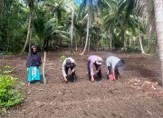 Bhabinkamtibmas Polsek Banggae Ajak Kelompok Tani Pammase Tanam Jagung Hibrida Dukung Ketahanan Pangan