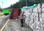 Truk Hino Terguling di Desa Tubo Apoang, Polsubsektor Tubo Sendana Sigap Amankan Lokasi Kejadian