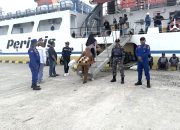 Satuan Polisi Perairan Polres Majene Intensifkan Pengamanan Pemberangkatan KM. Sabuk Nusantara 93 di Pelabuhan Passarang