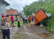 Pohon Tumbang Tutup Jalan Poros Jeneponto-Makassar, Lalu Lintas macet, Wakapolres Jeneponto perintahkan personel turun evakuasi.