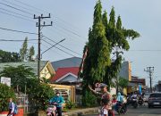 Satlantas Polres Bone Pastikan Keselamatan Pejalan Kaki Saat Menyeberang Jalan