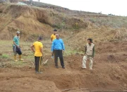 Kapolres Enrekang AKBP Hari Budiyanto Turun Langsung Jadi Penggerak Ketahanan Pangan Bersama Kelompok Tani