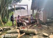 Bhabinkamtibmas Polsek Saluputti Gotong Royong Evakuasi Pohon Tumbang