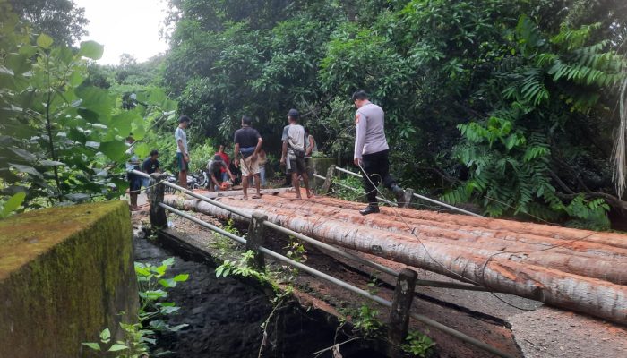 Personel Polsek Benteng Pantau dan Bantu Warga Baera Kerja Bakti Bangun Jembatan Darurat