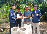 Perkuat Produktivitas Lahan, Tim Patriot UNDIP Bungku Utara Dampingi BPP Mamosalato Evaluasi Kualitas Tanah dan Produksi Biochar Limbah Sekam Padi