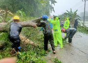 Polres Barru Cepat Tanggap Respon Melakukan Evakuasi Ranting Pohon Pasca Hujan Lebat di Sejumlah Titik