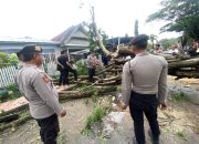 Respons Cepat Satgas Operasi Lilin 2025, Polres Majene Evakuasi Pohon Tumbang di Jalan AP. Pettarani