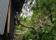 Respons Cepat Bhabinkamtibmas Polsek Banggae Polres Majene Tangani Rumah Warga Tertimpa Pohon di Kecamatan Banggae