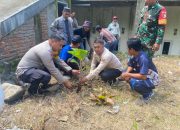 Lestarikan Pisang Pere Khas Adolang Dhua, Bhabinkamtibmas Polsek Pamboang Polres Majene dan Pemdes Lakukan Penanaman Bibit