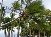 Angin Kencang di Selayar, Kapolres Keluarkan Himbauan Untuk Masyarakat