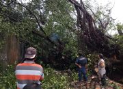Polres Maros Imbau Warga Waspada Angin Kencang, Pohon Tumbang, dan Banjir Saat Beraktivitas