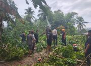 Personil Polres Barru Sigap Bantu Warga Yang Rumahnya Tertimpa Pohon Tumbang