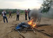 Operasi Sabung Ayam, Polsek Bulukumpa Bakar Arena Sabung Ayam di Bontomangiring.
