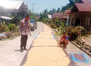 Bhabinkamtibmas Polsek Sendana Dampingi Petani Pada Proses Pengeringan Jagung Pascapanen di Dusun Awo