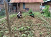 Bhabinkamtibmas Polsek Malunda Ajak Warga Kelola Pekarangan Jadi Lumbung Pangan Keluarga