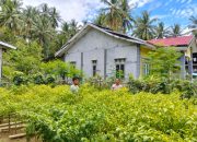 Dari Pekarangan untuk Ketahanan Pangan, Bhabinkamtibmas Polsek Banggae Pantau Cabai di Lahan P2B Baruga Dhua