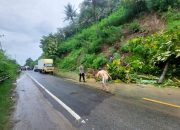 Sigap Hadapi Potensi Bencana, Kapolsek Sendana Pantau Titik Longsor di Wilayah Sendana