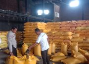 Kawal Program Ketahanan Pangan, Bhabinkamtibmas Polsek Sendana Distribusi Jagung Hasil Panen ke Bulog