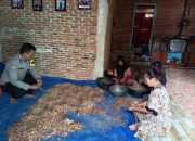 Wujud Dukungan Nyata, Bhabinkamtibmas Polsek Pamboang Tinjau Hasil Panen Bawang Merah di Desa Buttu Pamboang