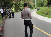 Ini Kronologis Kecelakaan Maut di Palopo, 2 Pemotor Meninggal Dunia di TKP