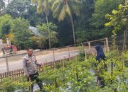 Pekarangan Jadi Ladang Pangan, Bhabinkamtibmas Polsek Banggae Ajak Warga Manfaatkan Lahan Kosong