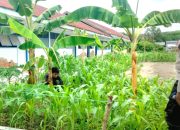 Bersama Warga, Bhabinkamtibmas Polsek Banggae Kembangkan Pekarangan Produktif di Tande Timur