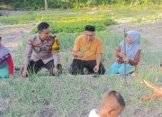 Bhabinkamtibmas Polsek Banggae Pantau Tanaman Bawang Merah KWT Mangge, Dukung Ketahanan Pangan Warga