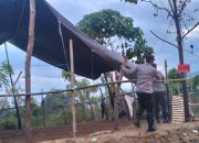 Respons Laporan Warga, Polsek Lamasi Bongkar Arena Sabung Ayam di Lamasi