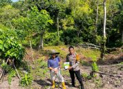 Semangat Ketahanan Pangan, Bhabinkamtibmas Polsek Malunda dan Petani Tanam Jagung di Dusun Kolehalang