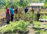 Bhabinkamtibmas Polsek Pamboang Bersinergi dengan Dinas Pertanian, Kebun Dasawisma Adolang Dhua Jadi Penguat Ketahanan Pangan