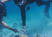 Kapolres Barru Tunjukkan Kepedulian Lingkungan, Bersihkan Sampah Plastik Saat Penyelaman di Perairan Pulau Dutungan