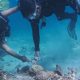 Kapolres Barru Tunjukkan Kepedulian Lingkungan, Bersihkan Sampah Plastik Saat Penyelaman di Perairan Pulau Dutungan