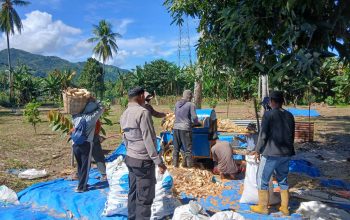 Bhabinkamtibmas Polsek Sendana Turun ke Lahan, Pastikan Tanaman Jagung Warga Tumbuh Optimal