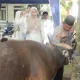 Momentum Hari Raya Idul Adha 1447 H, Kapolres Enrekang : Meningkatkan Keikhlasan dan Kepedulian Terhadap Sesama
