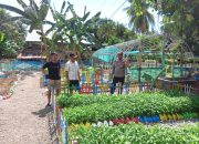 Pantau Kebun Hortikultura KWT Lombong Timur, Bhabinkamtibmas Polsek Malunda Dukung Ketahanan Pangan Nasional