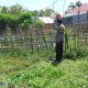 Pantau Kebun Mentimun, Bhabinkamtibmas Polsek Pamboang Dukung Swasembada Pangan